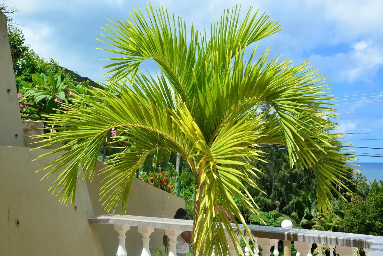 Villa Anse La Blague Baie Sainte Anne Exterior foto